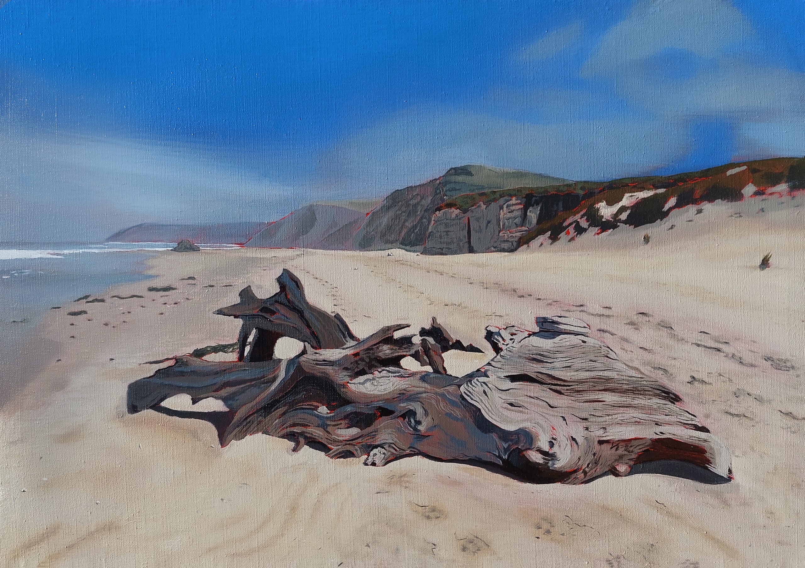 Kehoe Driftwood – Original Painting