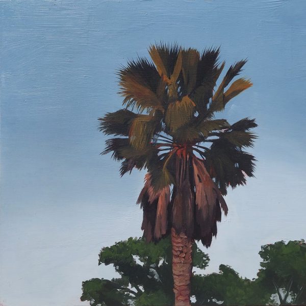 Early Morning Palm Painting Original Painting oil on canvas California landscape Solano County by Jacob LaCour