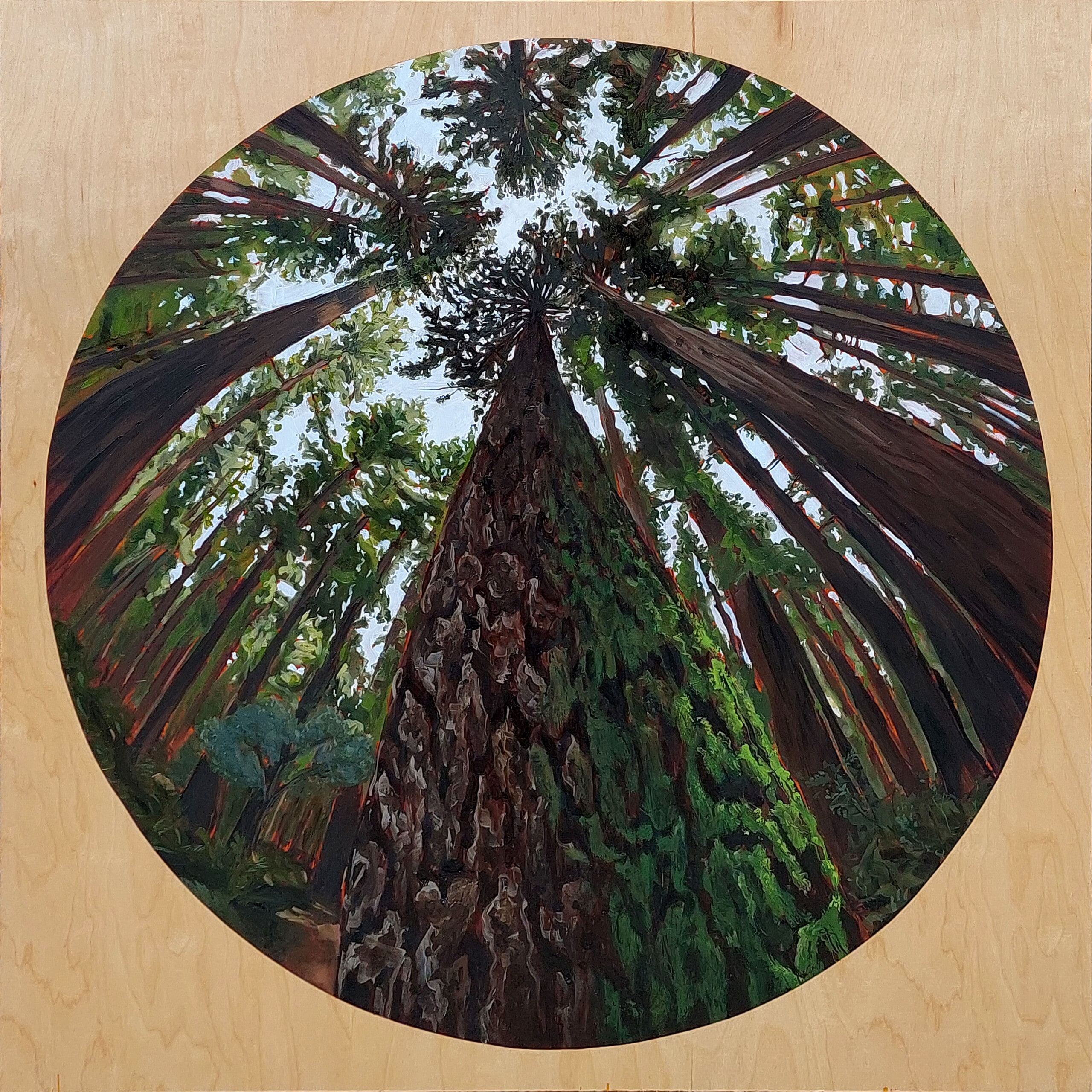 Canopy (Douglas Fir) – Original Painting